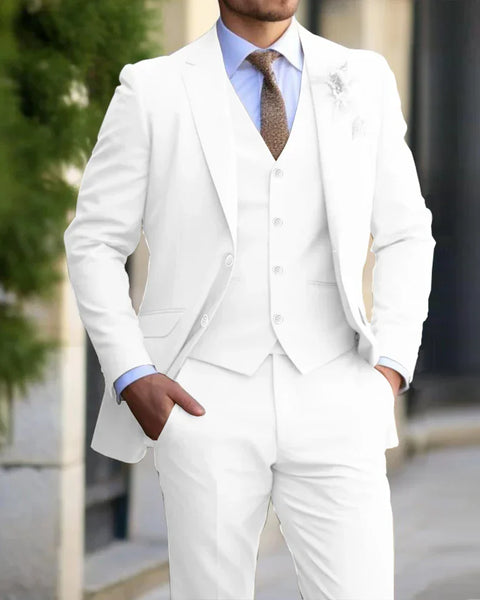 Terno Masculino Slim Wendel